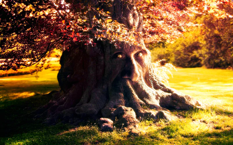 fantasy treant Image