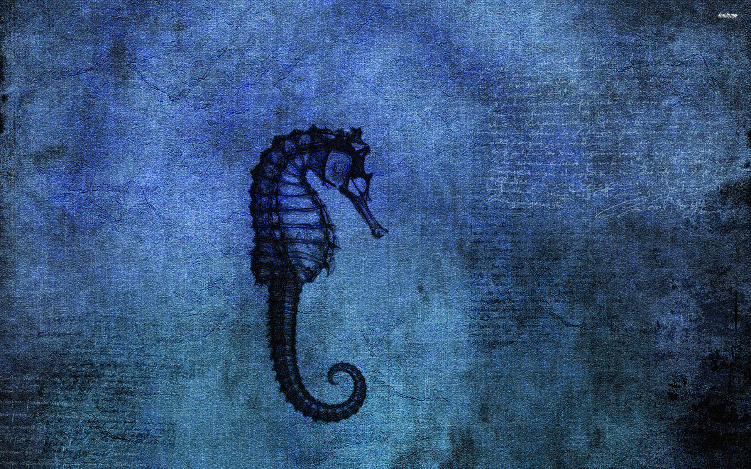 Artistic Seahorse Art