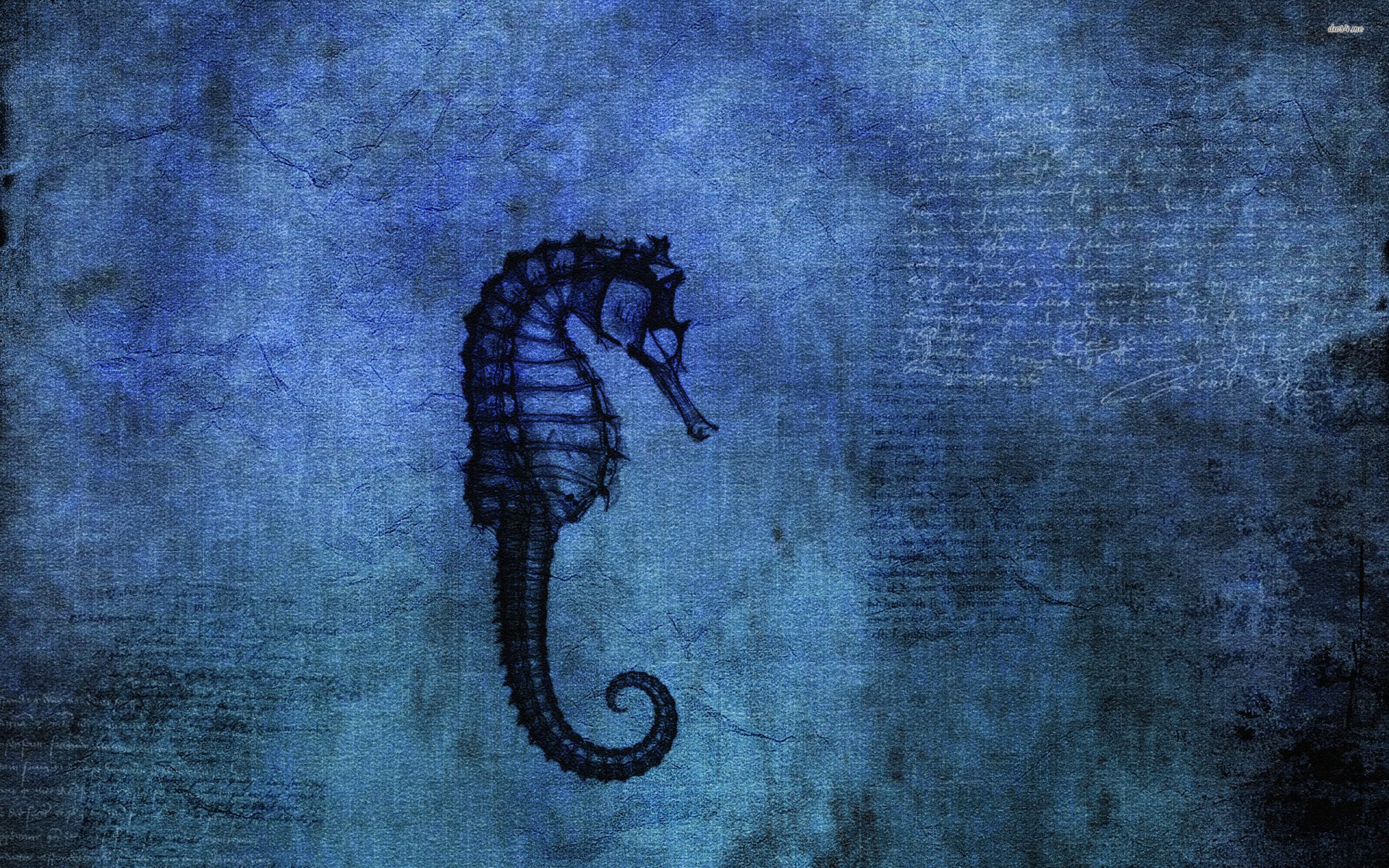 Download Artistic Seahorse Art