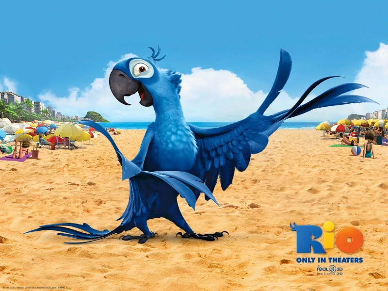 movie Rio parrot beach animated Image