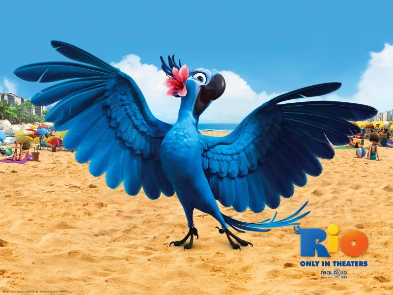 movie Rio animated film blue macaw beach Image