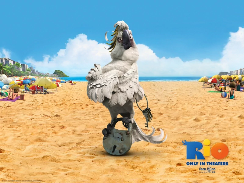 movie Rio animated parrot beach Image