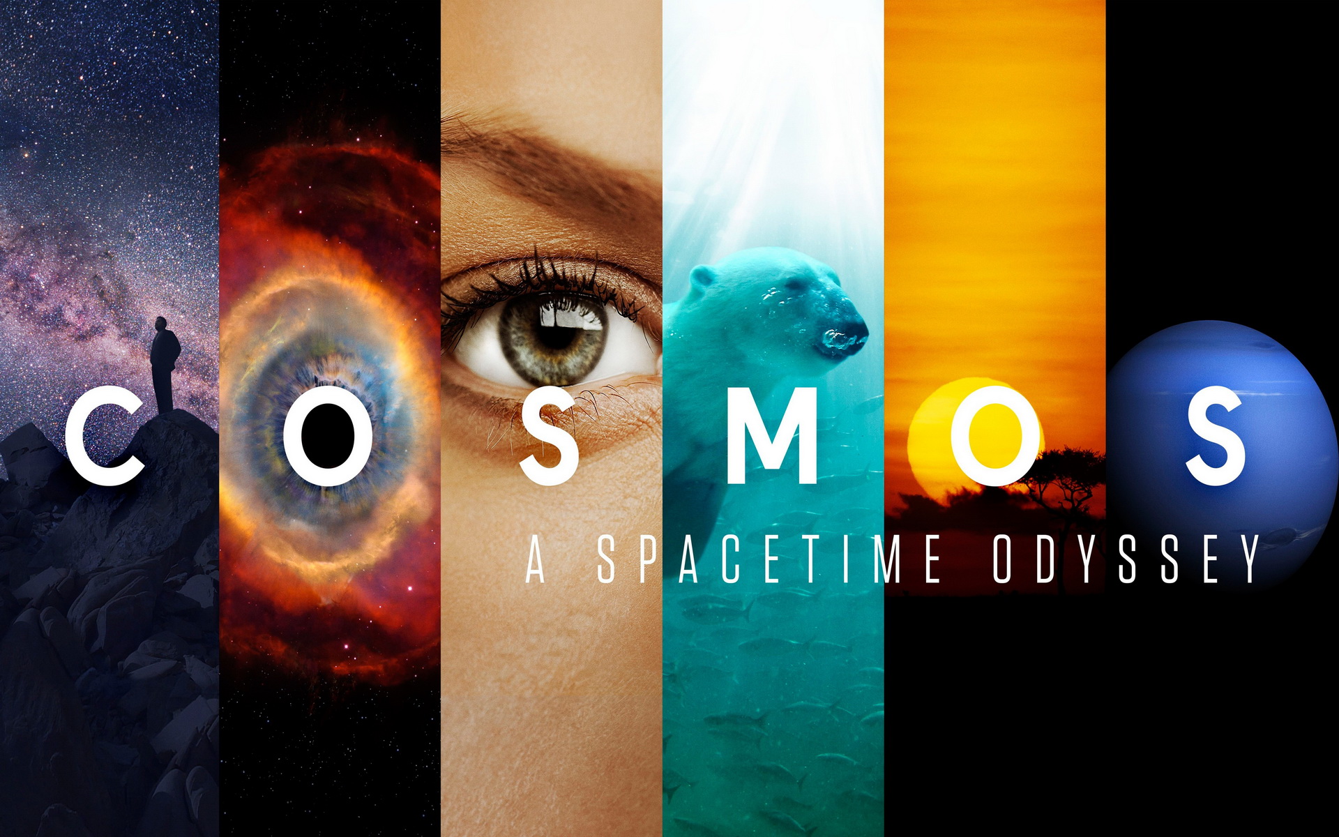 Cosmos: A Spacetime Odyssey Art