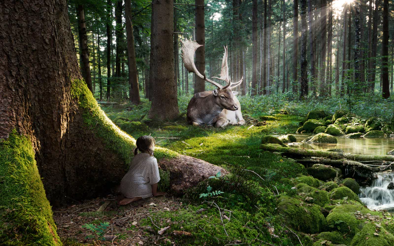 photography manipulation Image