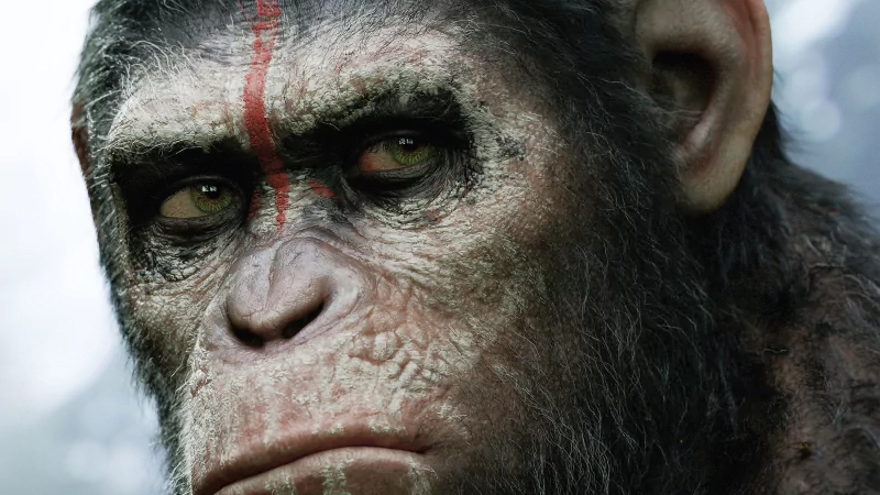 Close-up of an ape with war paint from the movie Dawn of the Planet of the Apes, showing detailed facial features and intense expression.