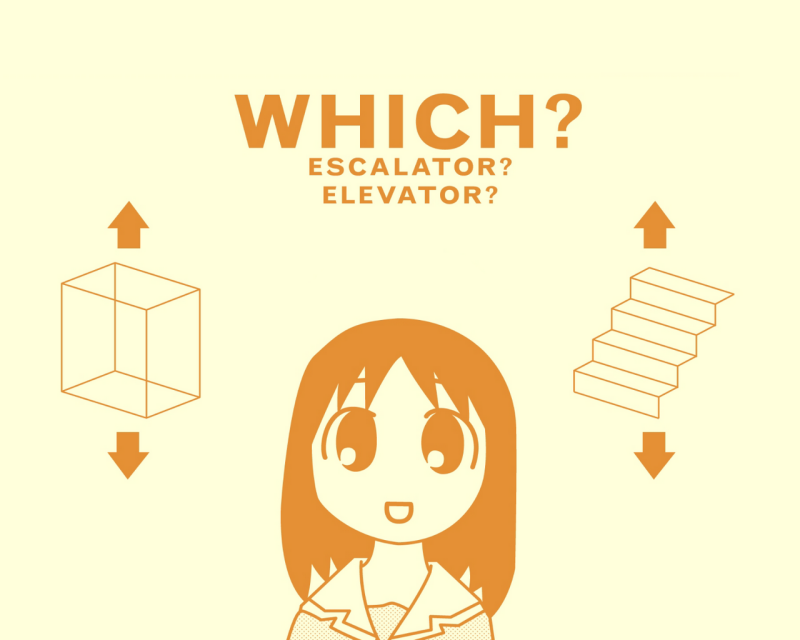 80666