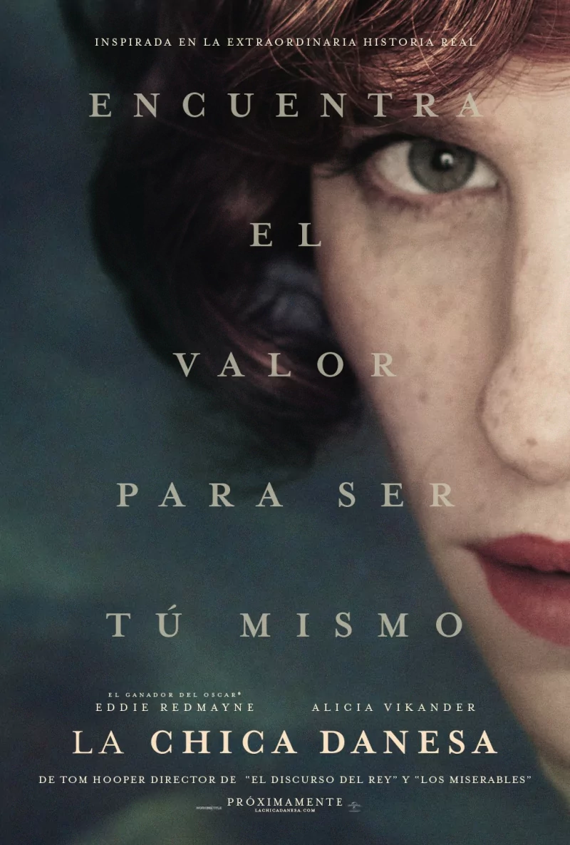 movie The Danish Girl Image