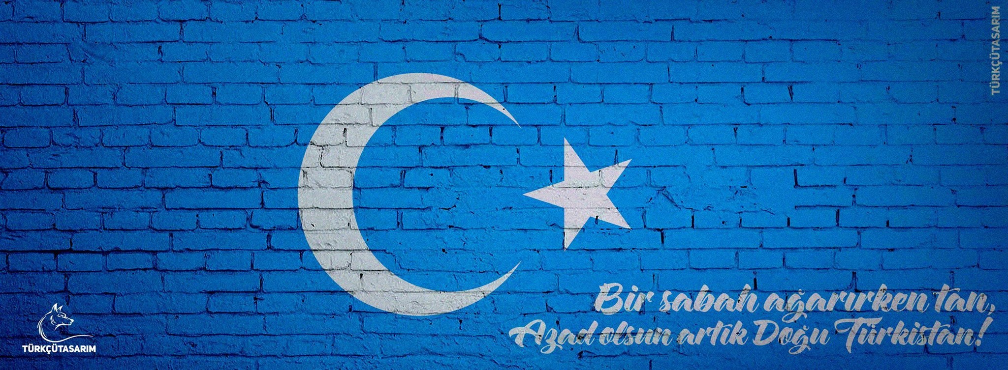 flag of east Turkestan Art
