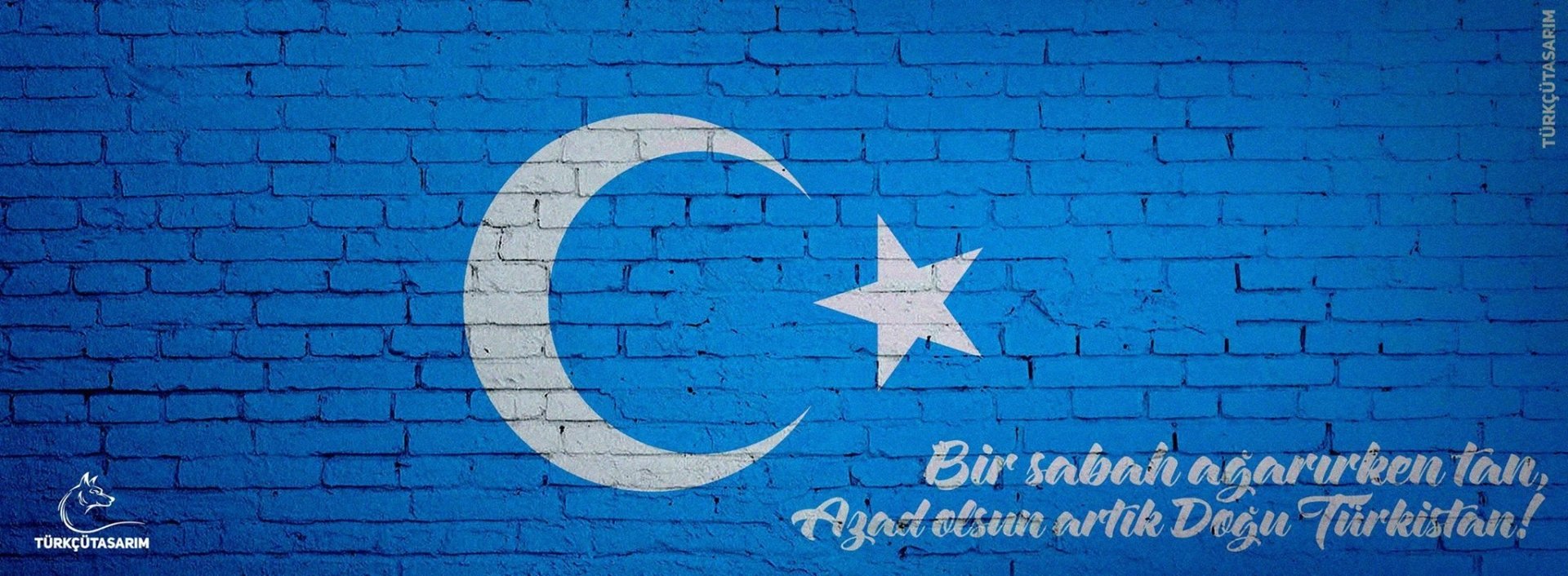 Download Misc Flag Of East Turkestan Art