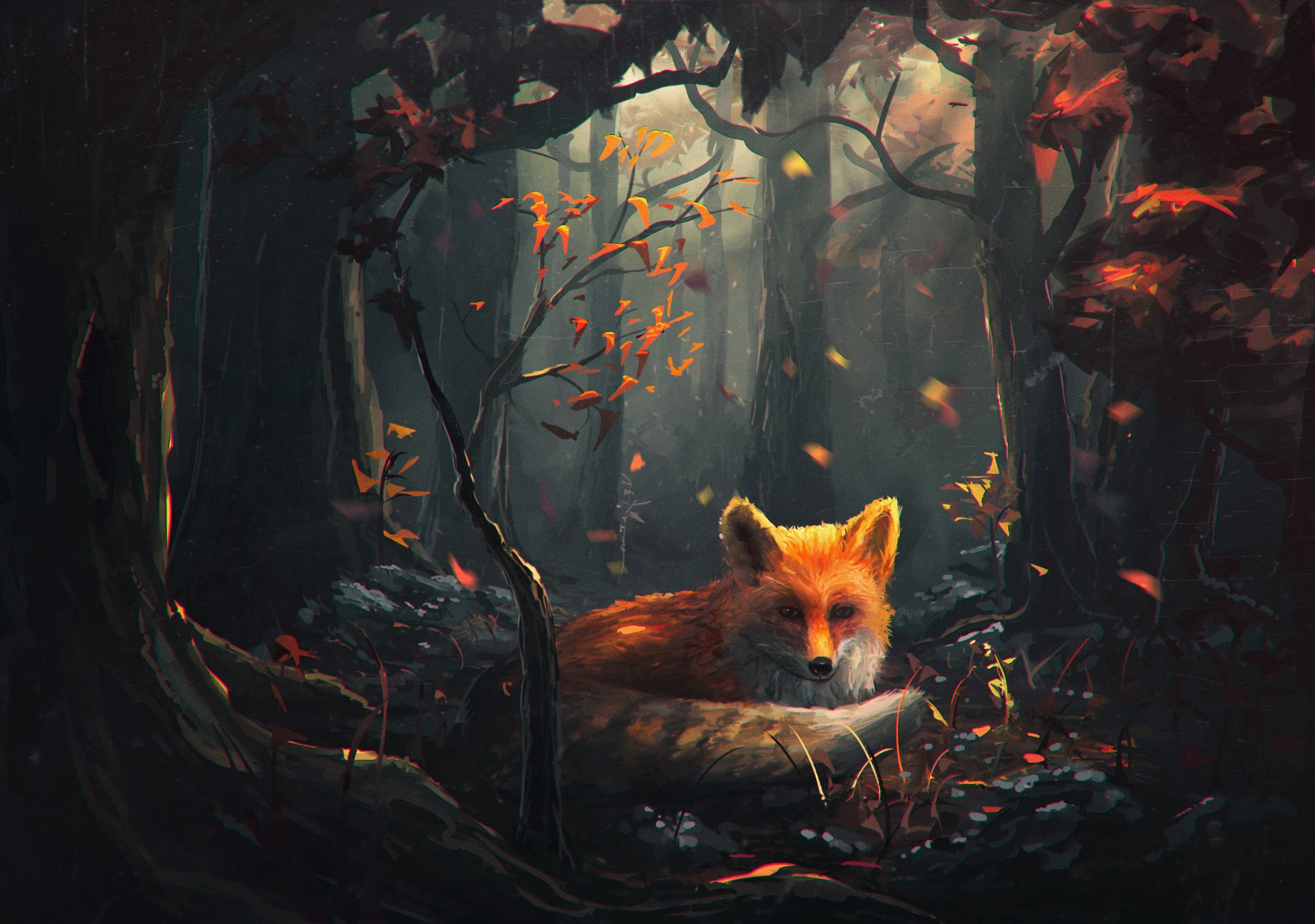 A red fox curled on a leaf-strewn forest floor, an alert animal bathed in shafts of golden sunlight.