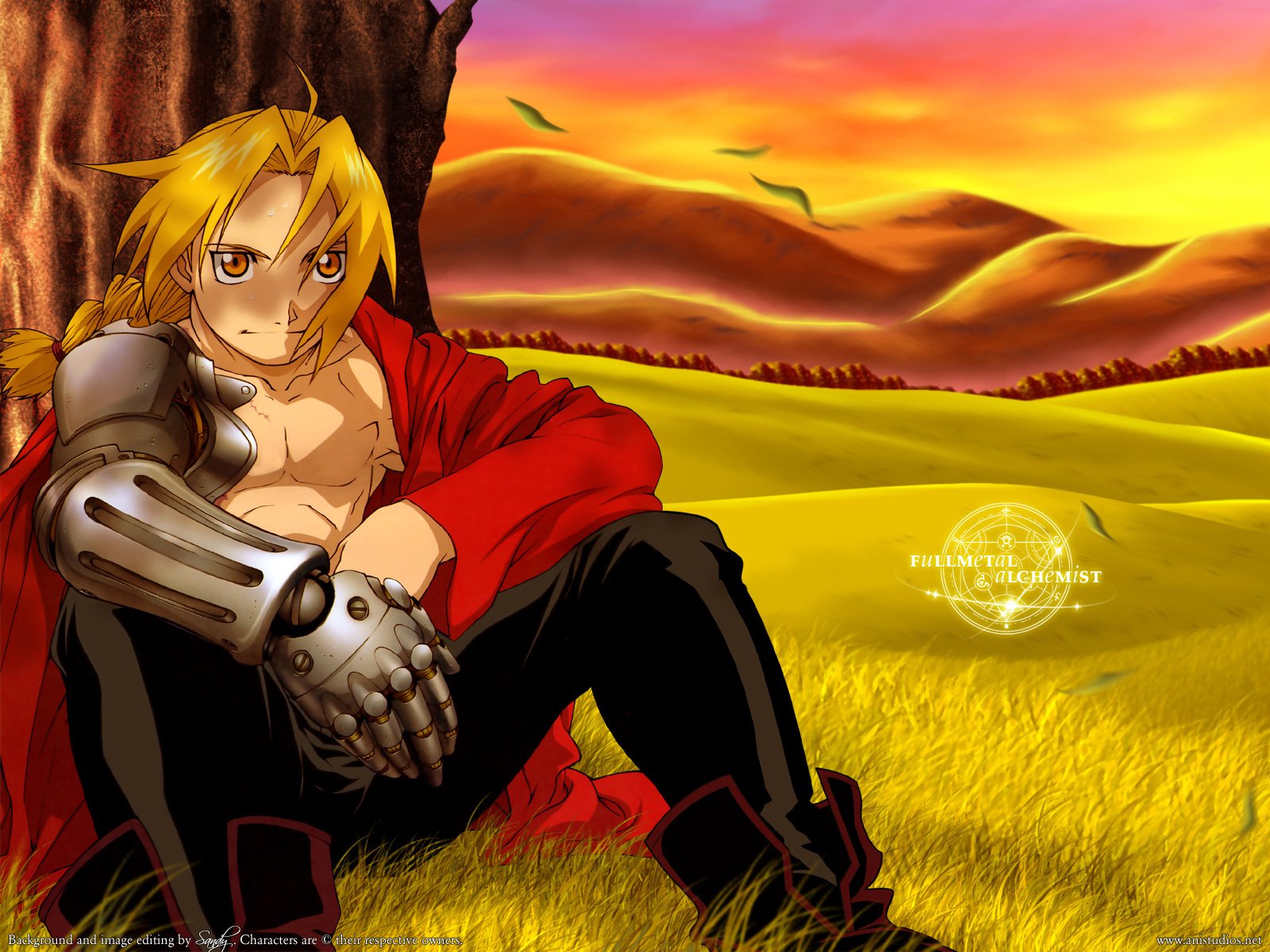 Edward Elric from the anime Fullmetal Alchemist sits against a tree in a golden field under a vibrant sunset sky.