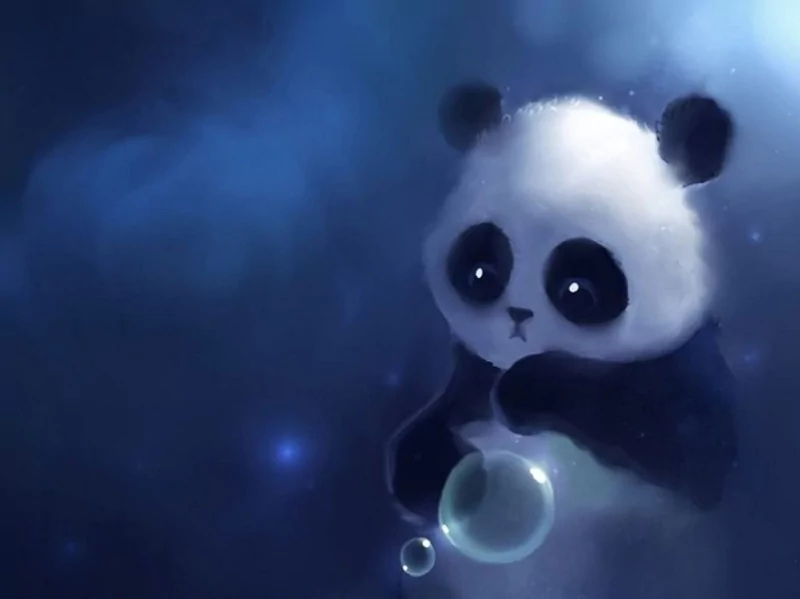 Animal panda Image