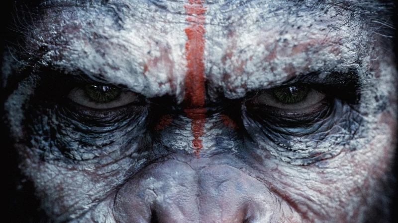 movie Dawn of the Planet of the Apes Image