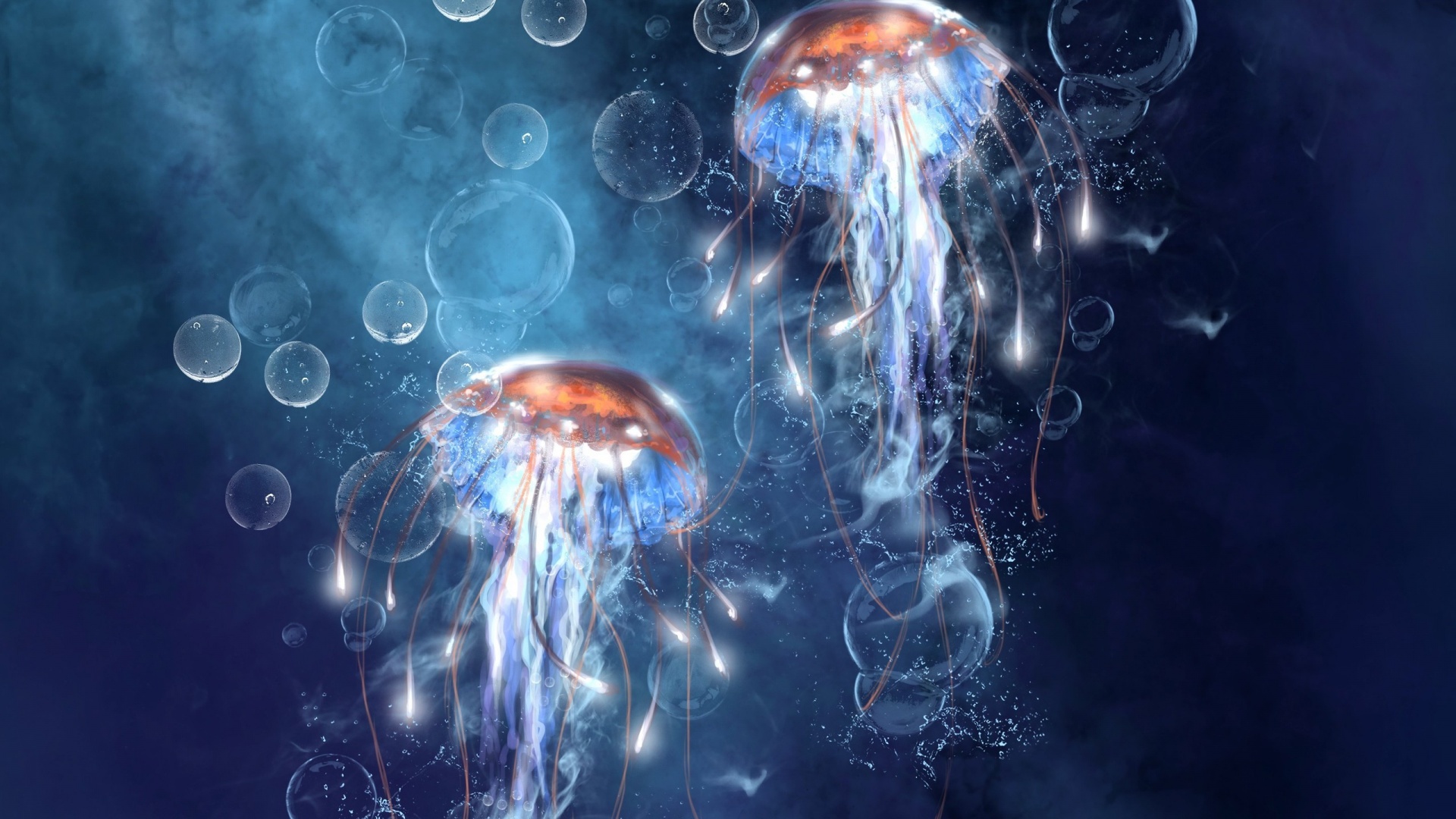 Jellyfish Art