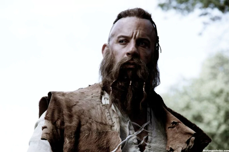 movie The Last Witch Hunter Image