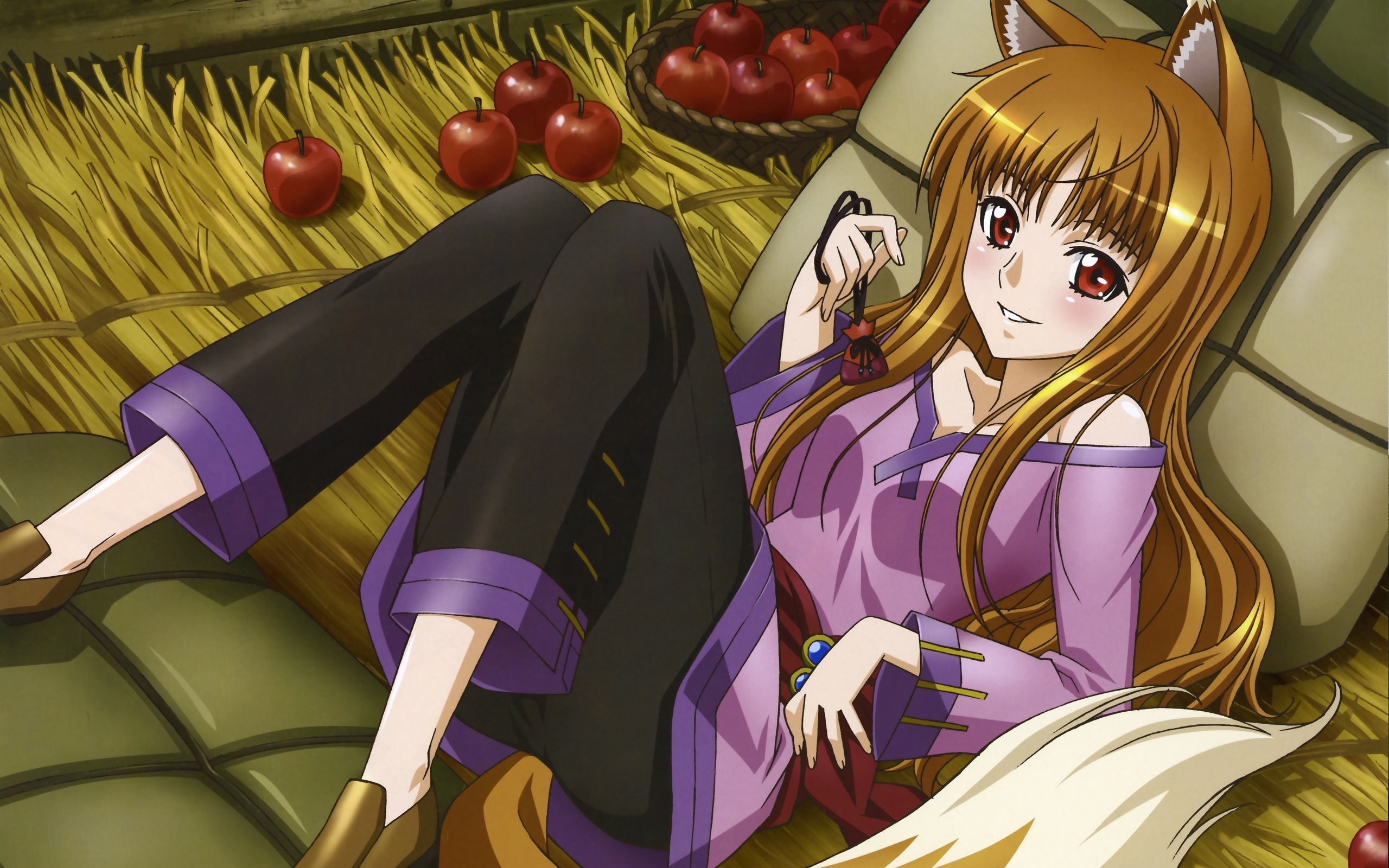 spice and wolf synopsis