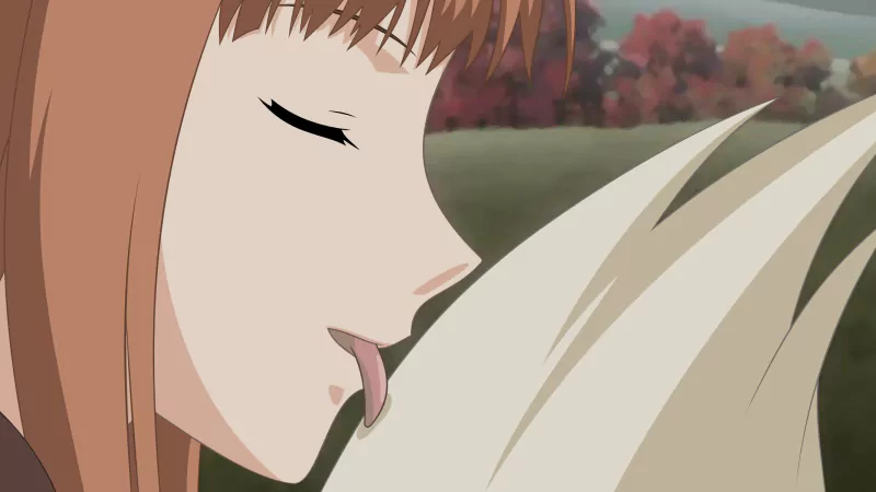 Anime Spice and Wolf Image