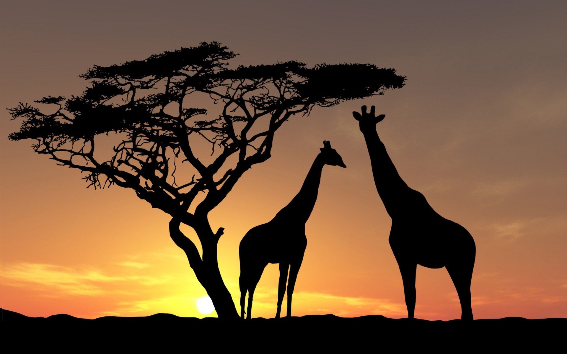 Download Animal Giraffe Art