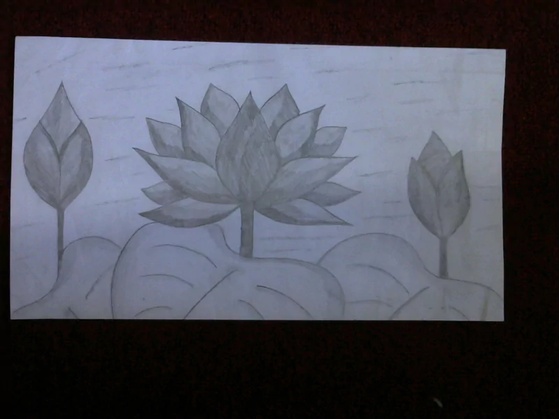 Anime sketch Image