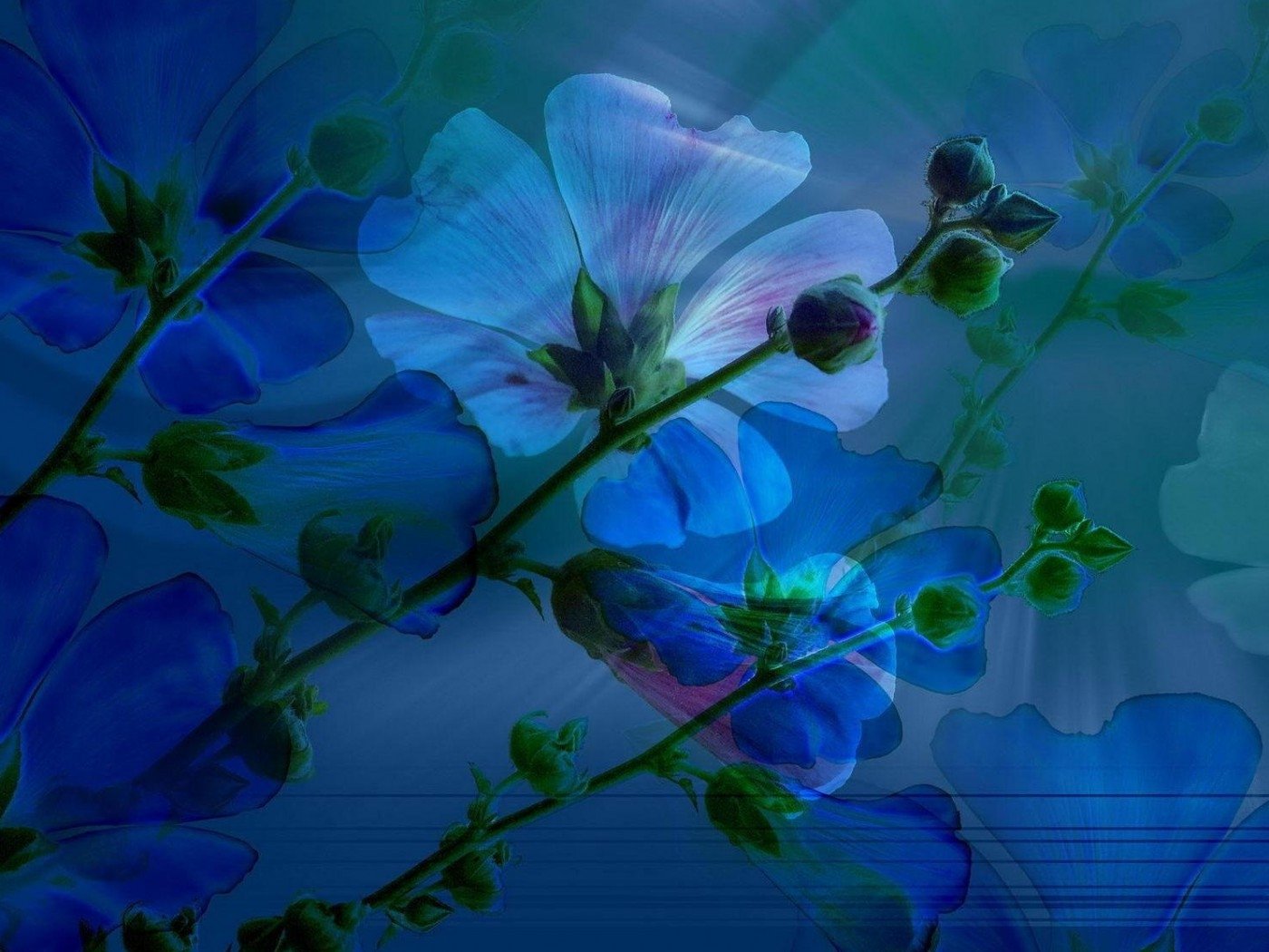 Download 3D Daisy Blue Flower Artistic 3D Art Art
