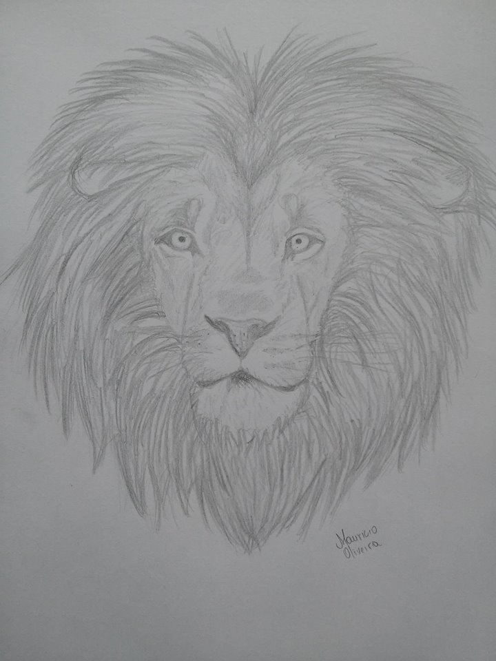 Lion by mauriciooliveira109