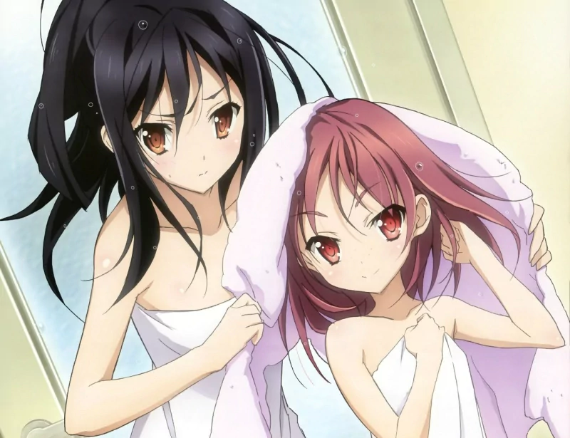 Anime Accel World Image