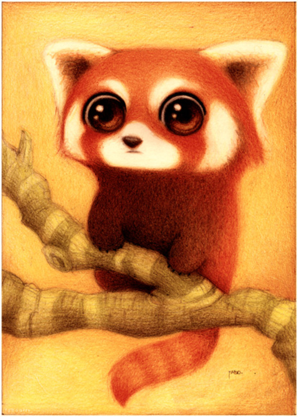 Red Panda Art