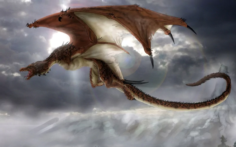 fantasy wyvern Image
