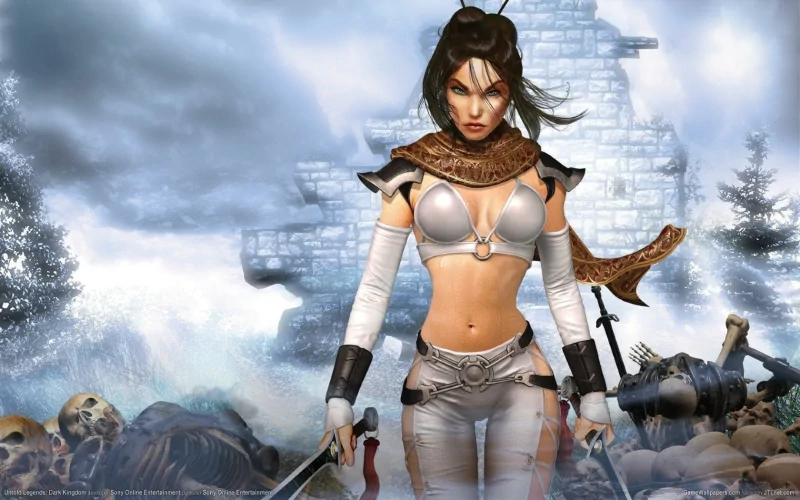 video game Untold Legends: Dark Kingdom Image
