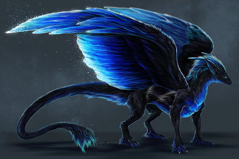 A majestic dark dragon stands with striking blue feathers and wings, exuding an air of fantasy. Its sleek form captivates with an enchanting blend of colors and mystical presence.