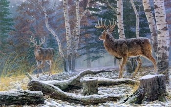 10 Deer Art