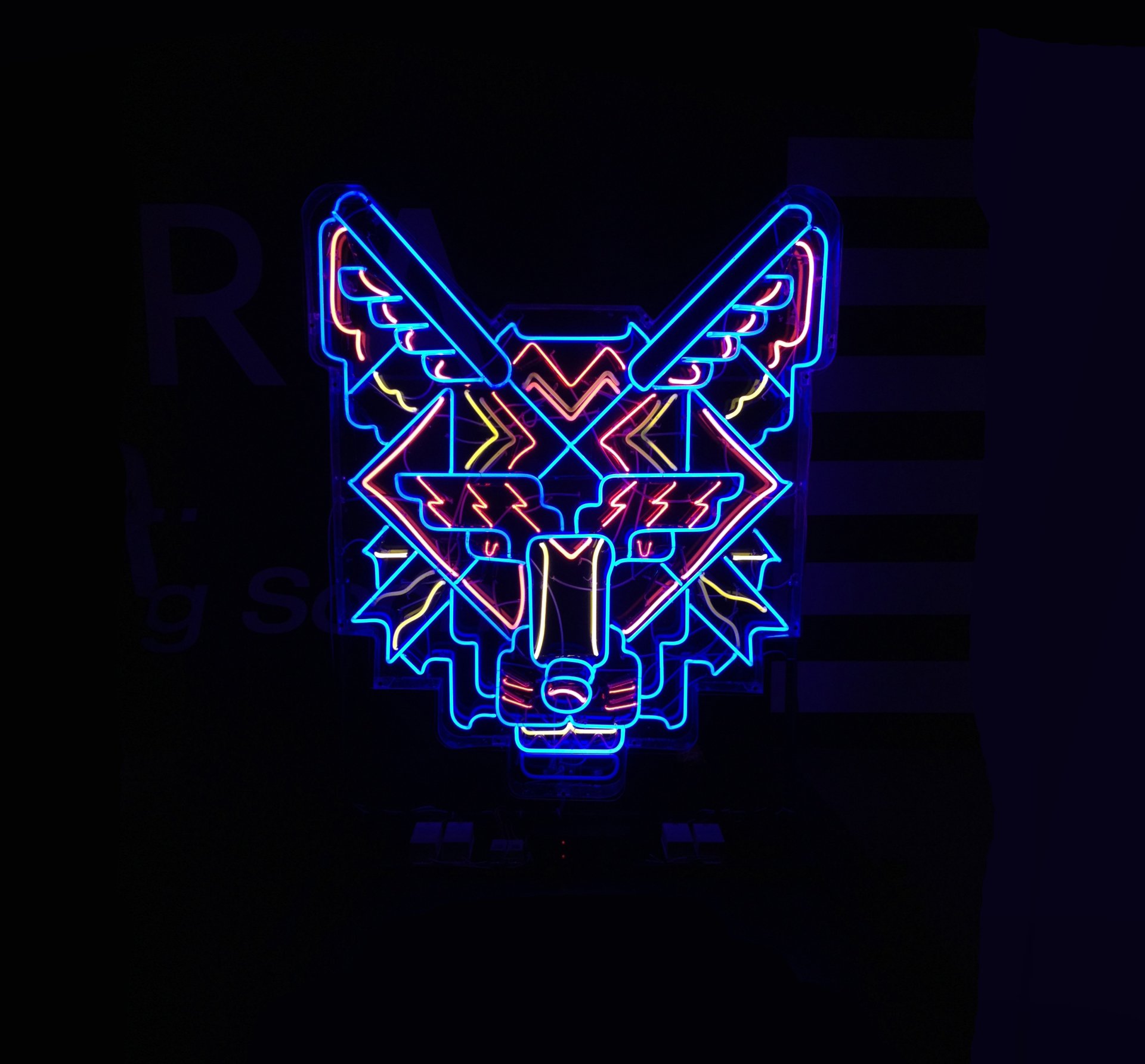 Neon photography of a geometric wolf head sign glowing electric blue and pink against a black background.