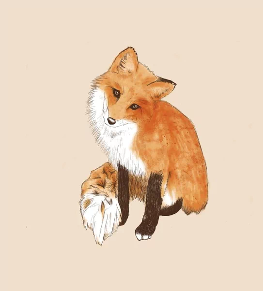 Artistic illustration of a red fox with detailed fur texture, capturing the essence of wildlife and the animal's natural beauty against a plain background.