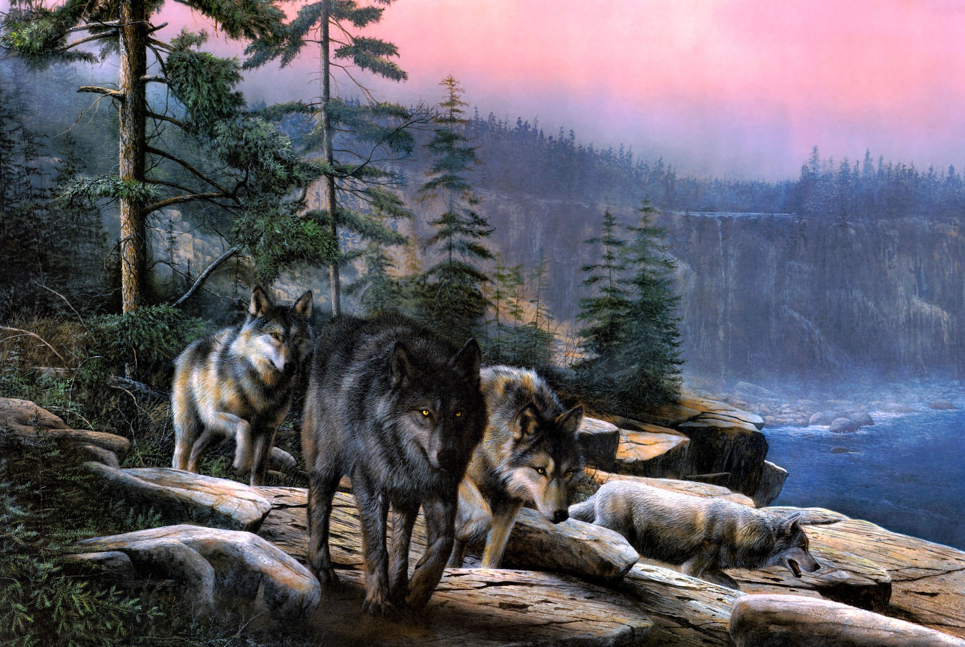 Download Animal Wolf Art