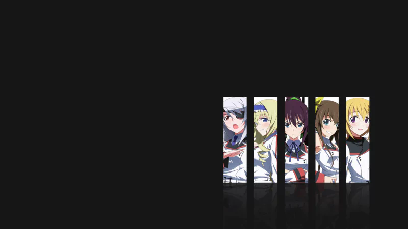Anime Infinite Stratos Image