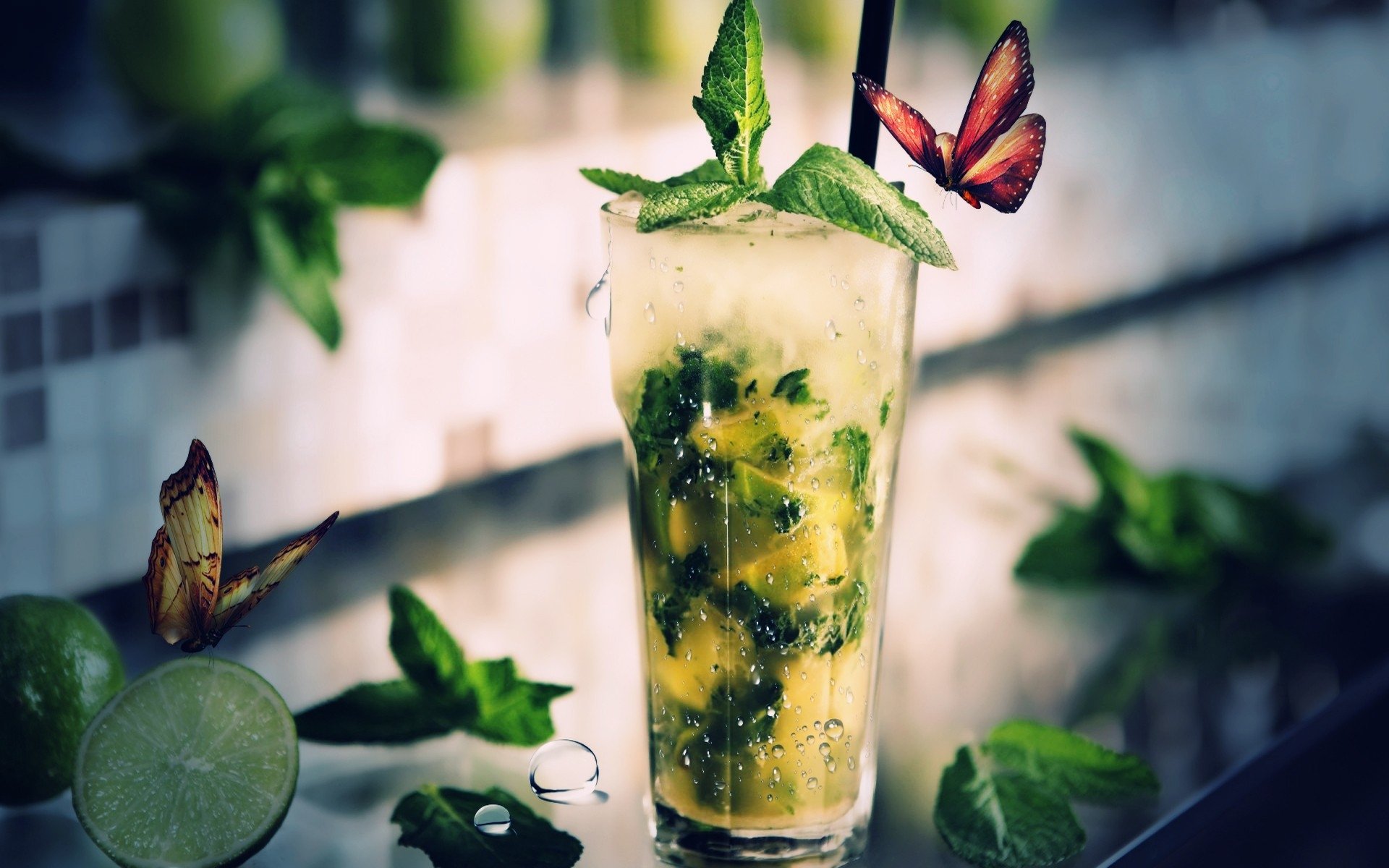 Download Food Drink Cocktail Mojito Mint Art