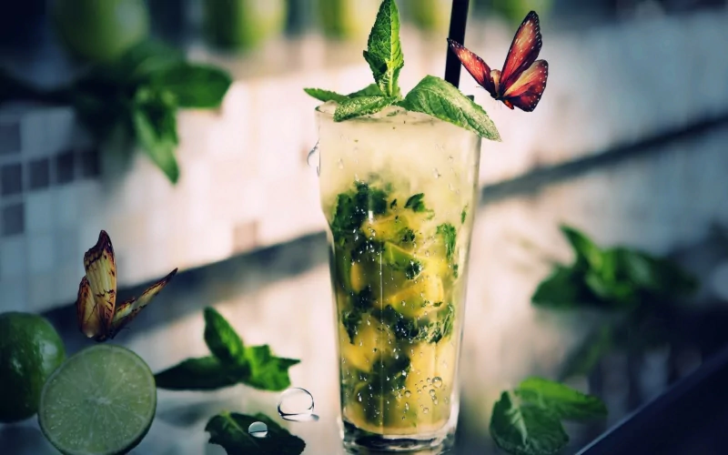 food drink cocktail mojito mint Image