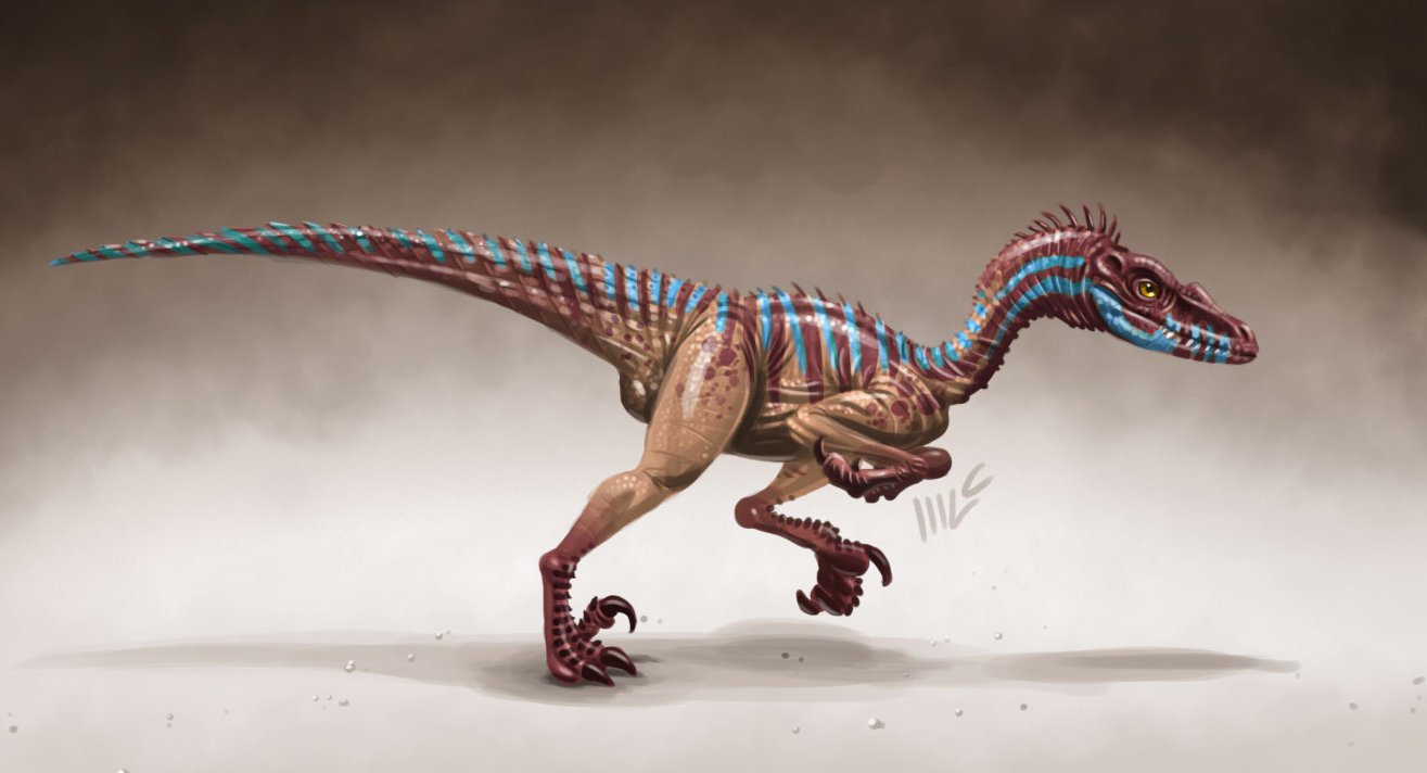 Download Velociraptor Animal Dinosaur Art