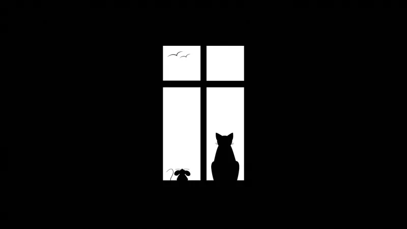 man made window Image