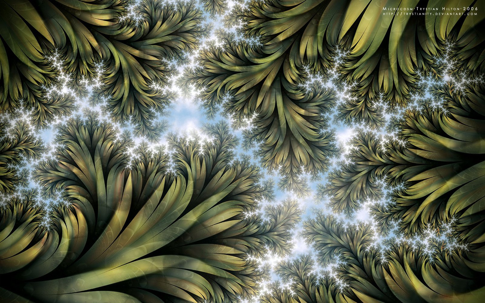 Download Abstract Fractal Art