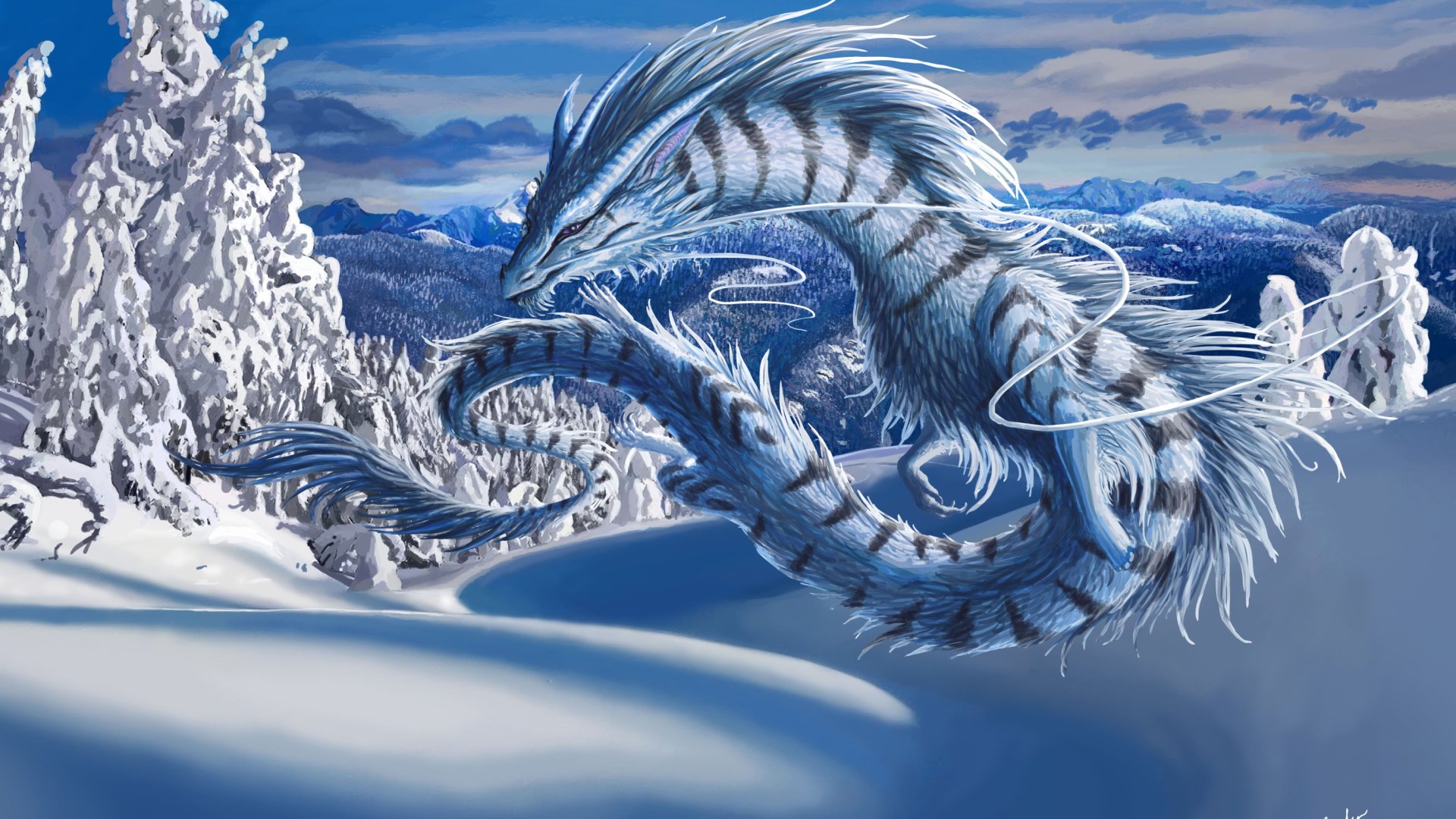 Winter Dragon