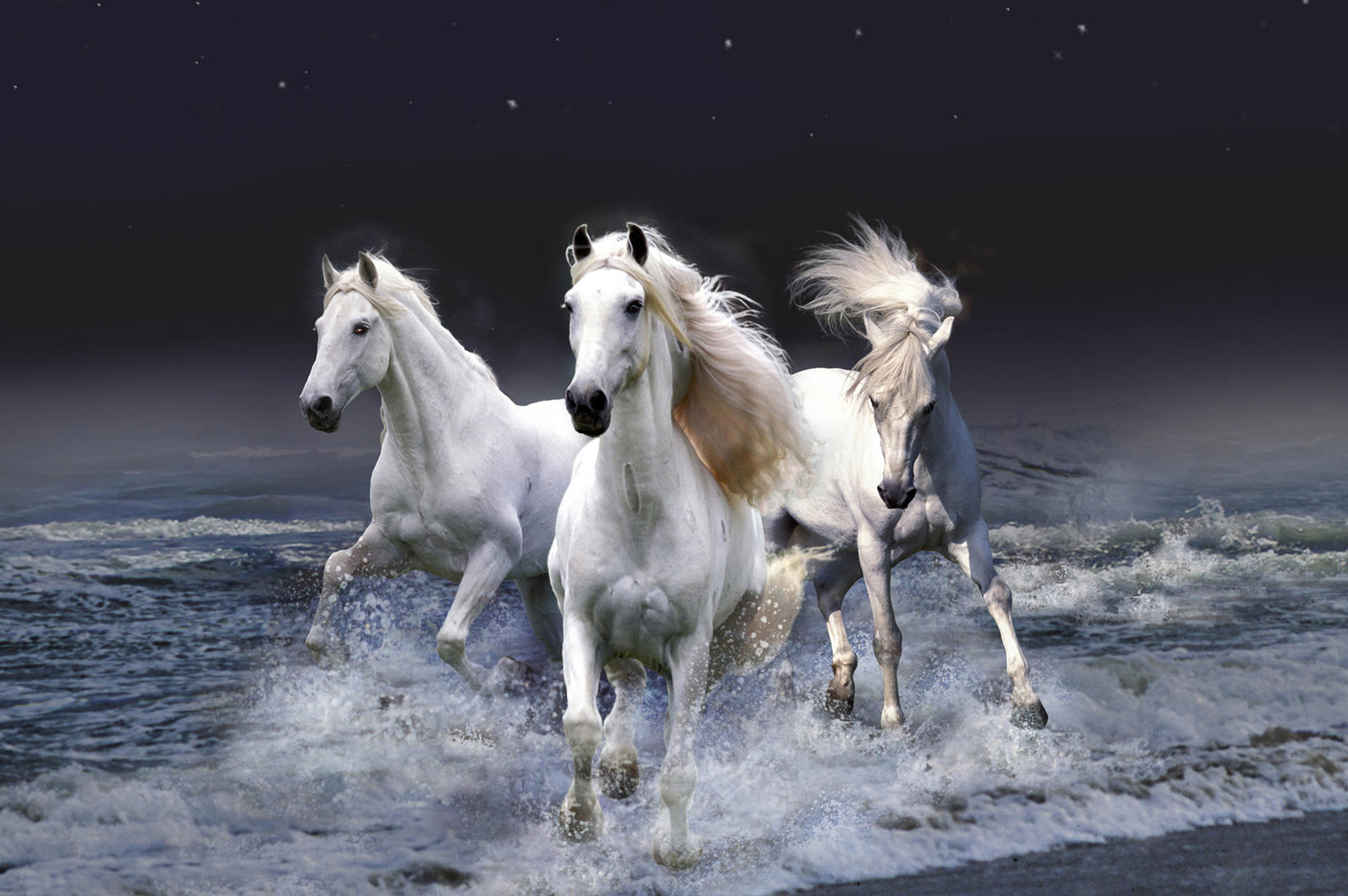 White Horses on the Coast