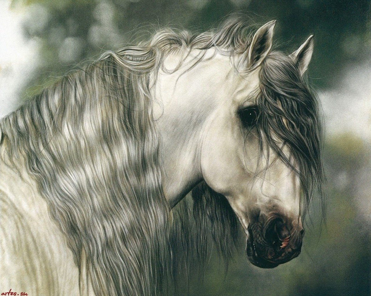 A close-up portrait of a white horse with a flowing mane, set against a soft, blurred natural background.