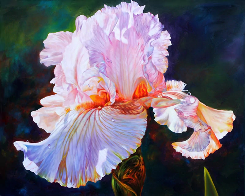  Vibrant colors in waterpaint by Soon Y Warren by Soon Y Warren