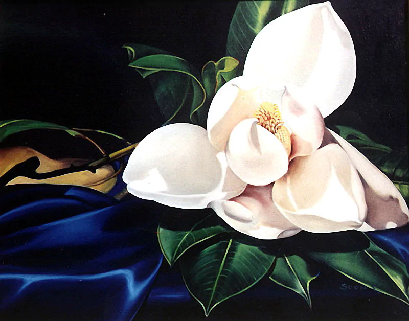  Vibrant colors in waterpaint by Soon Y Warren by Soon Y Warren