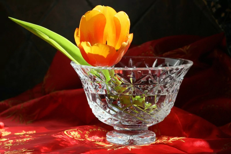  Vibrant colors in waterpaint by Soon Y Warren by Soon Y Warren