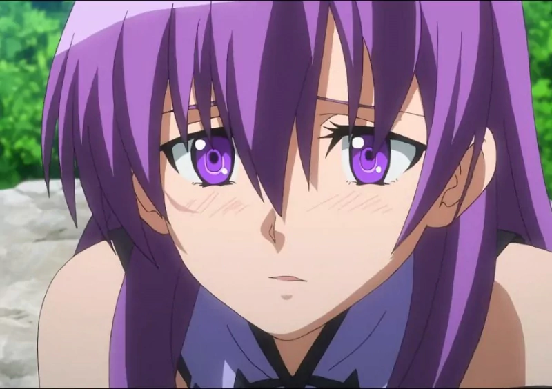  Sheele (Akame Ga Kill)