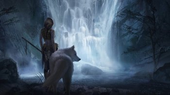 45 Wolf Art - Art Abyss