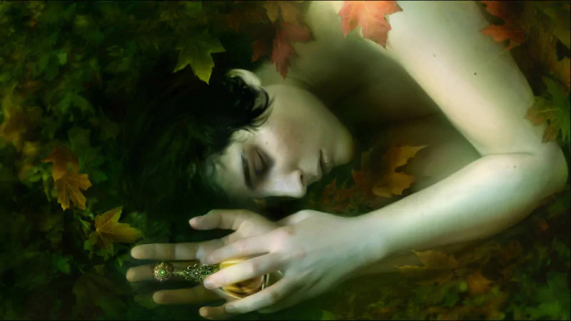  Gone by Linda Bergkvist