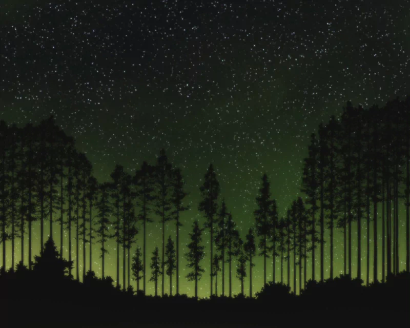  Starry Sky